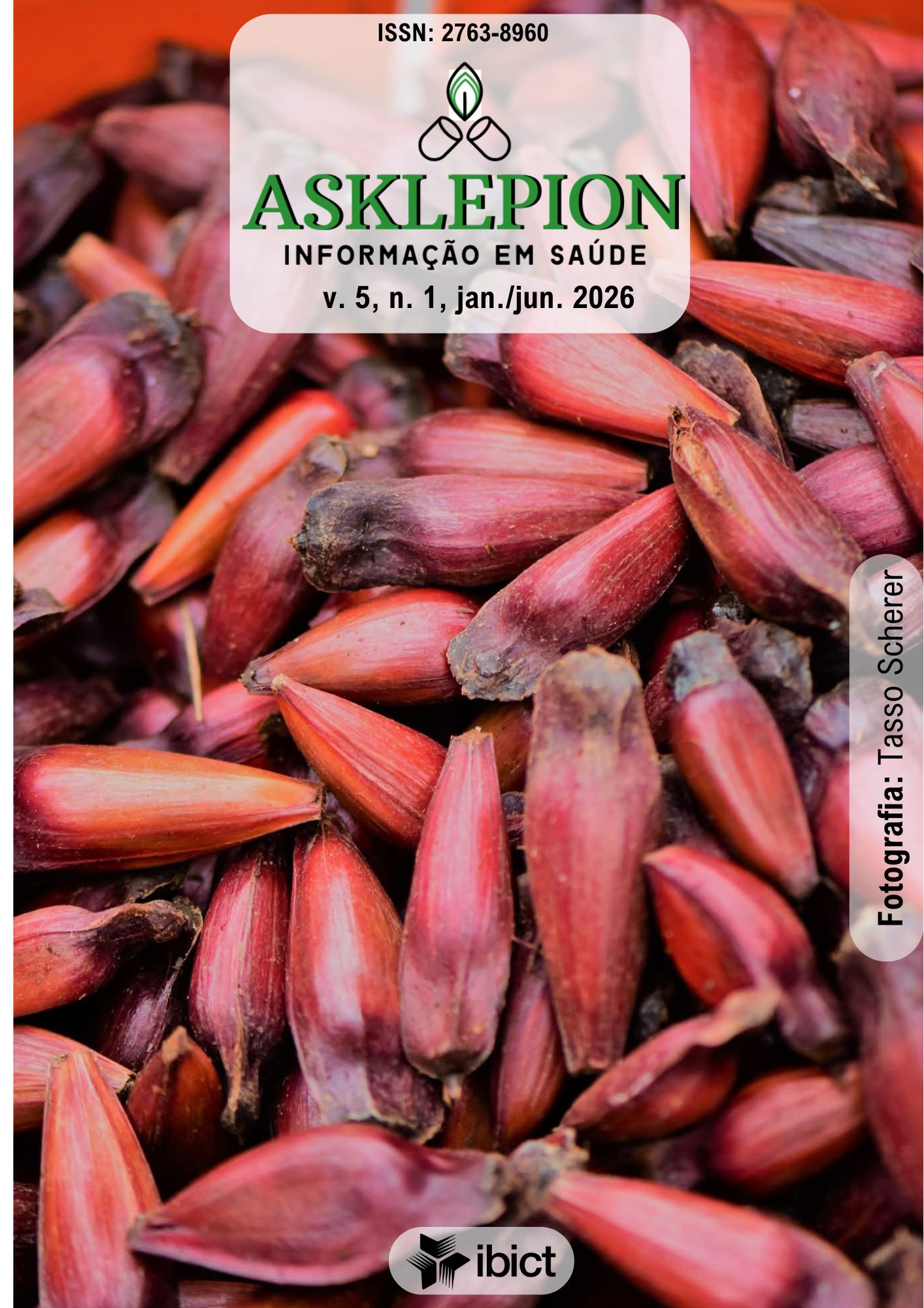 					Visualizar v. 5 n. 1 (2026): Asklepion : Informação em Saúde
				